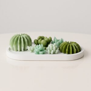 Arreglo de velas artesanales en forma de cactus y suculentas variadas en distintas tonalidades de verde sobre una bandeja ovalada blanca